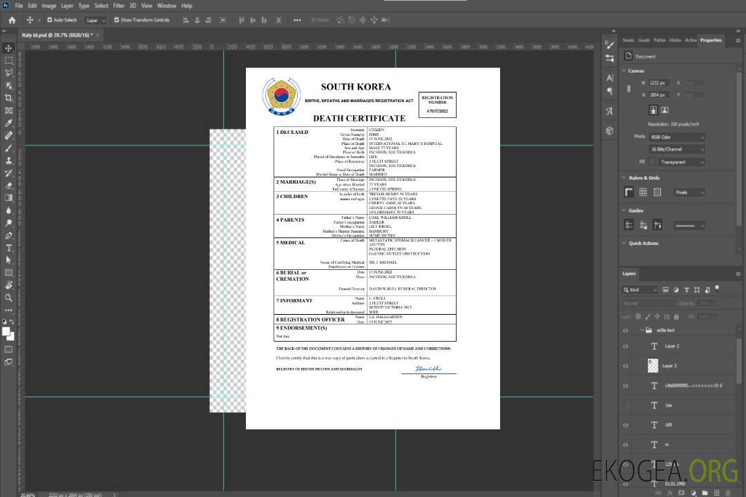 Modèle Word et PDF de certificat de décès de l'état civil de la Corée du Sud template Modèle Word et PDF de certificat de décès de l'état civil de la Corée du Sud template